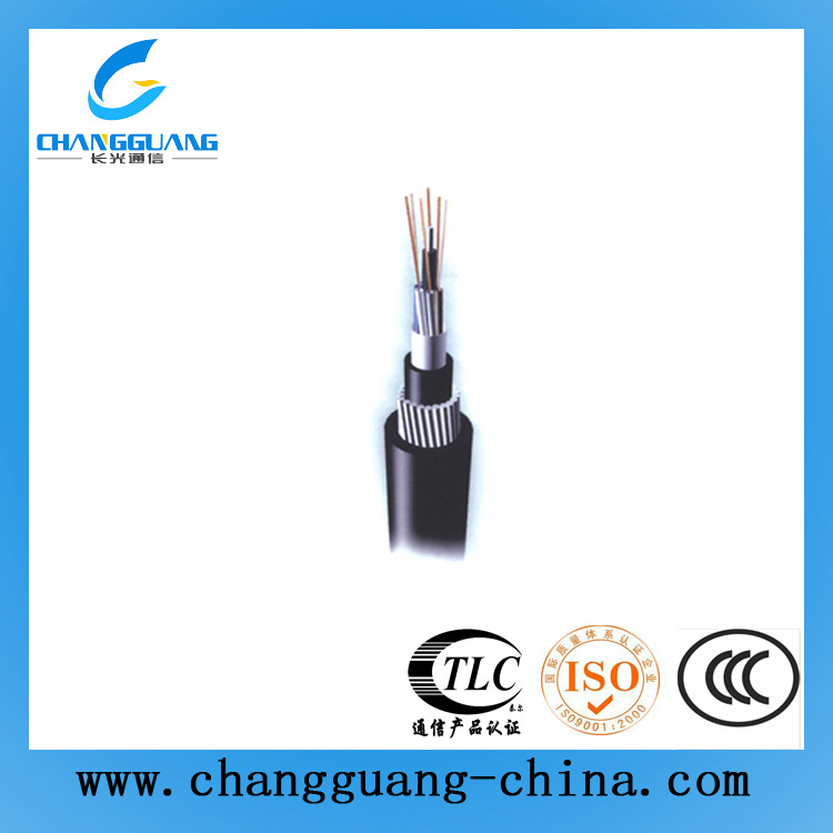 松套層絞式單細(xì)圓鋼絲鎧裝光纜(GYTA53+33)